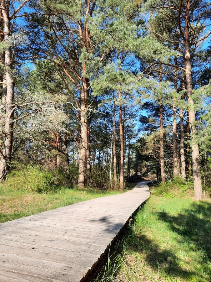 Ella - Sviesu. Stilinga. Jauku. Lägenhet Palanga Exteriör bild